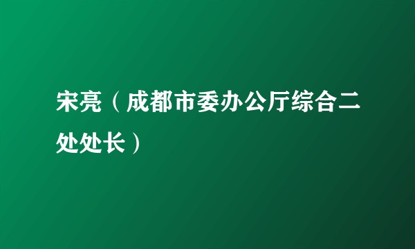 宋亮（成都市委办公厅综合二处处长）