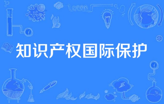 知识产权国际保护(知识产权名词)