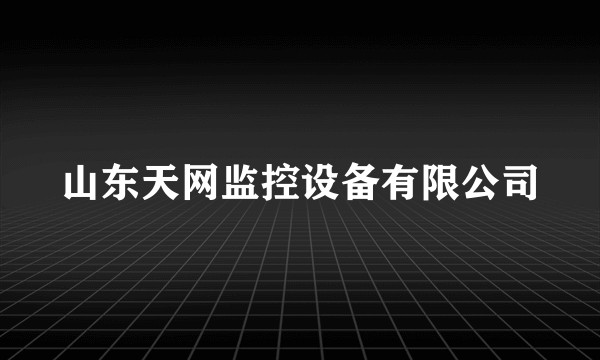 山东天网监控设备有限公司