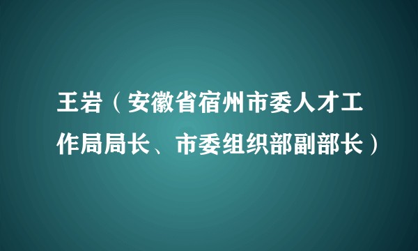 王岩(安徽省宿州市委人才工作局局长、市委组织部副部长)