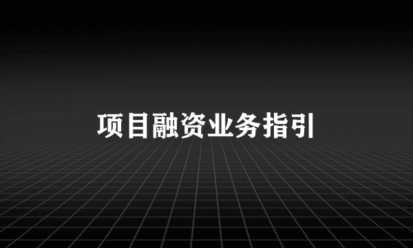 项目融资业务指引