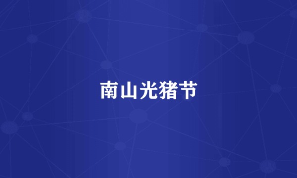 南山光猪节