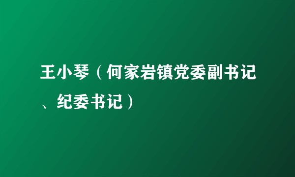 王小琴(何家岩镇党委副书记、纪委书记)