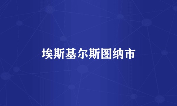 埃斯基尔斯图纳市