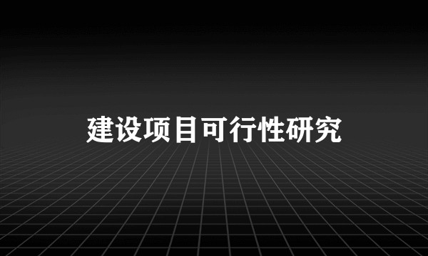 建设项目可行性研究