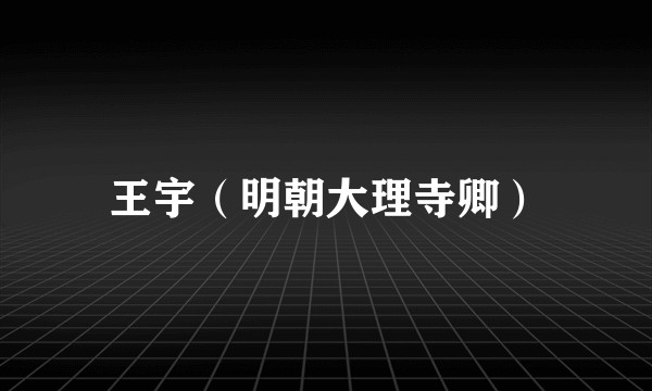 王宇（明朝大理寺卿）
