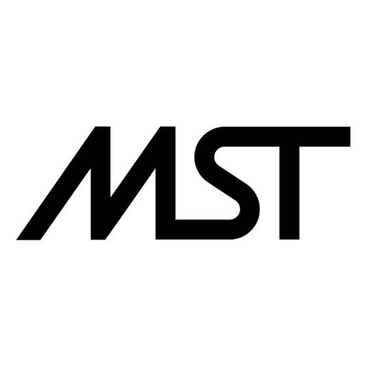 mst（金融公司）