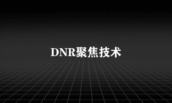 DNR聚焦技术