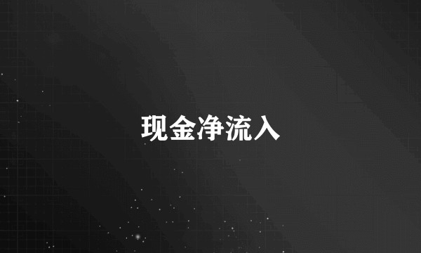 现金净流入