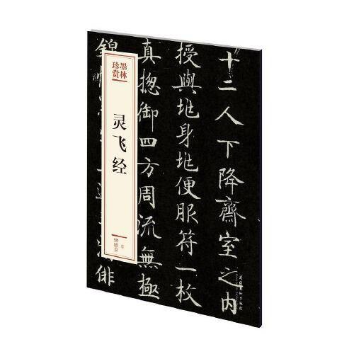 灵飞经(2020年文化艺术出版社出版的图书)