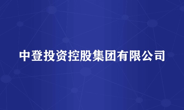 中登投资控股集团有限公司