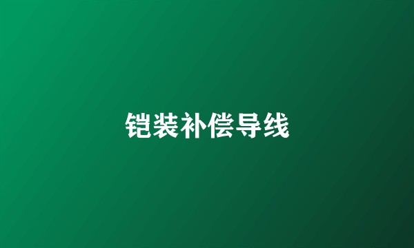 铠装补偿导线
