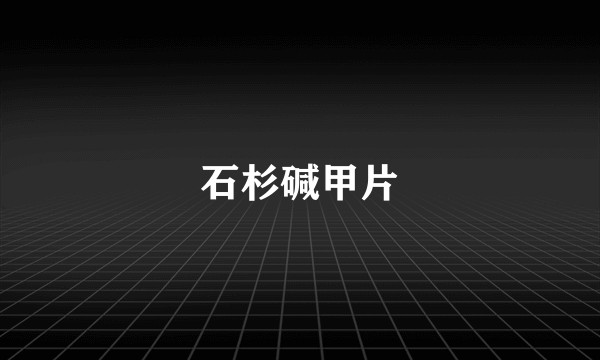 石杉碱甲片
