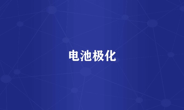 电池极化