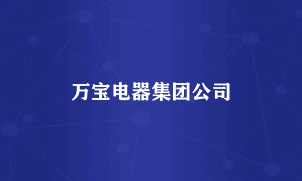 万宝电器集团公司