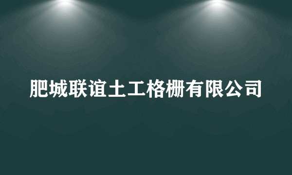 肥城联谊土工格栅有限公司