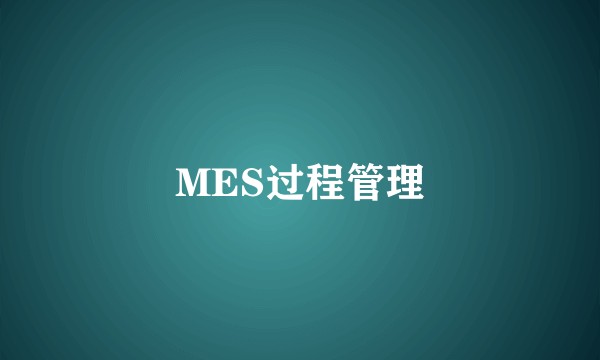 MES过程管理