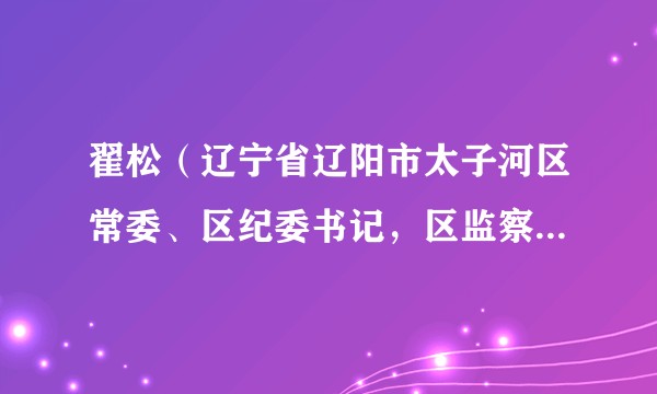 翟松(辽宁省辽阳市太子河区常委、区纪委书记,区监察委员会主任)