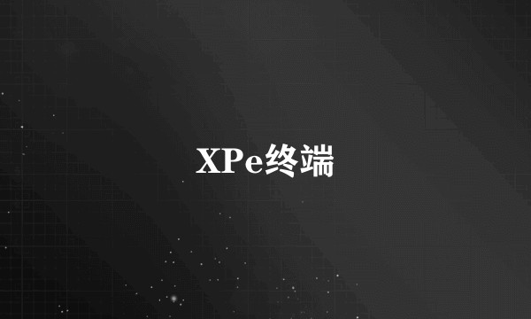 XPe终端