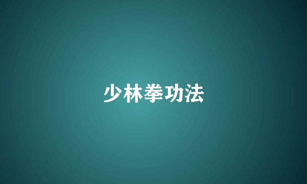少林拳功法