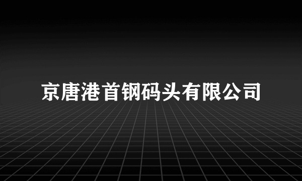 京唐港首钢码头有限公司