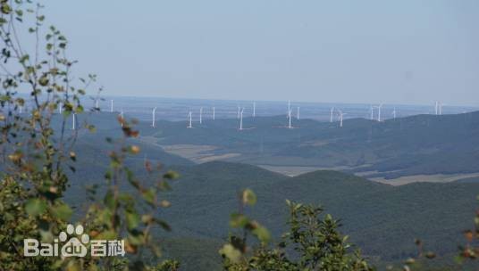 黑龙江桦川国家森林公园