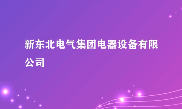 新东北电气集团电器设备有限公司