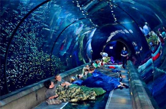 新佐治亚水族馆