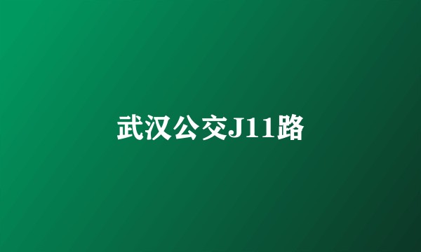 武汉公交J11路