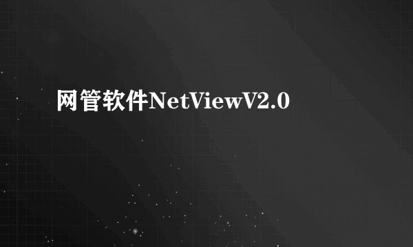网管软件NetViewV2.0
