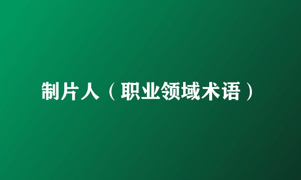 制片人（职业领域术语）