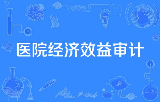 医院经济效益审计