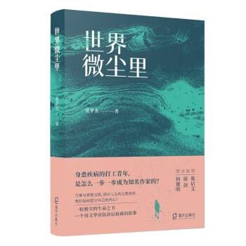 世界微尘里（2022年海天出版社出版的图书（莫华杰著））