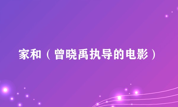 家和(曾晓禹执导的电影)