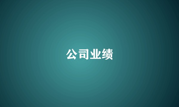 公司业绩