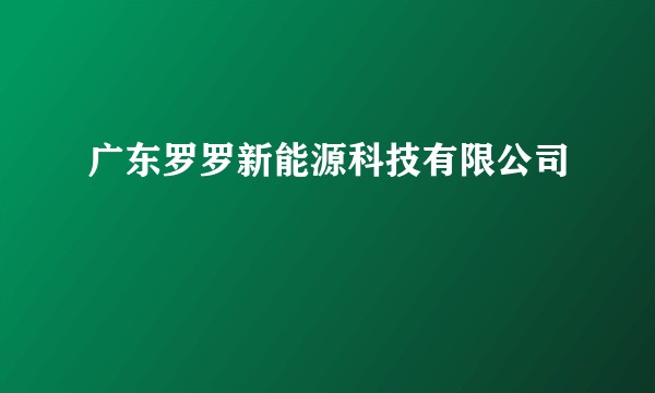 广东罗罗新能源科技有限公司