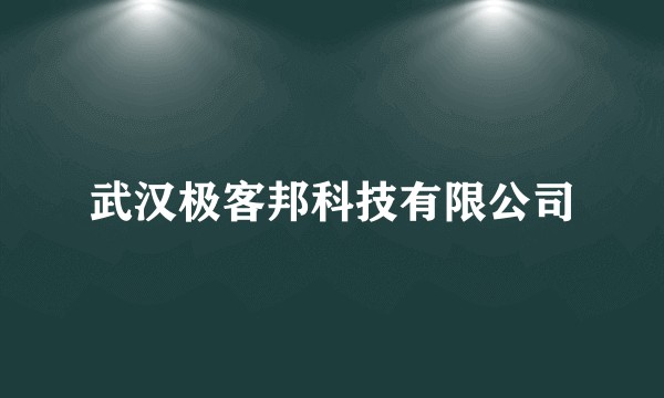 武汉极客邦科技有限公司