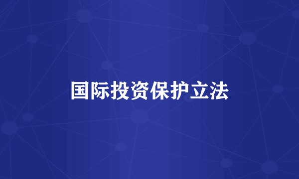 国际投资保护立法
