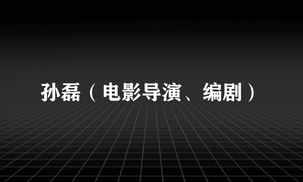 孙磊（电影导演、编剧）