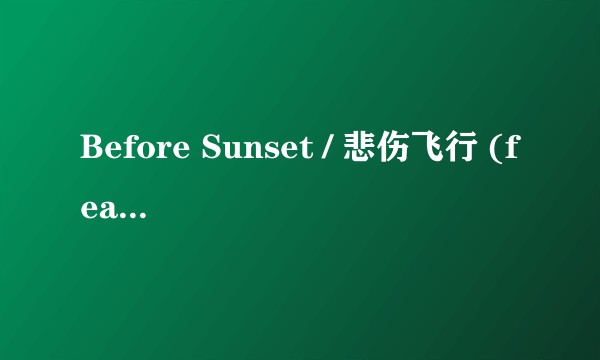 Before Sunset / 悲伤飞行 (feat. MIA AIM)