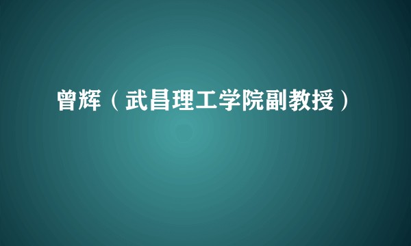 曾辉（武昌理工学院副教授）