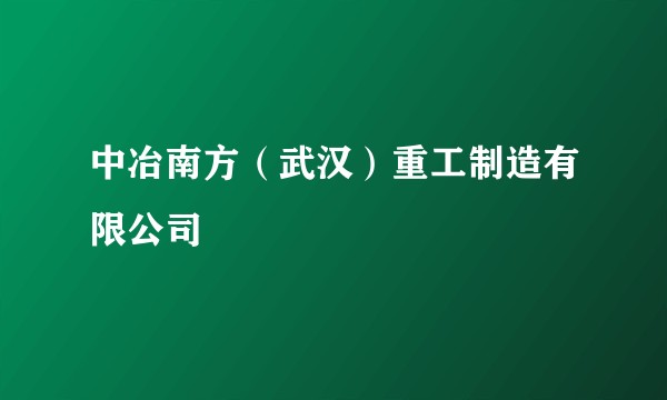 中冶南方（武汉）重工制造有限公司