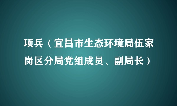 项兵（宜昌市生态环境局伍家岗区分局党组成员、副局长）