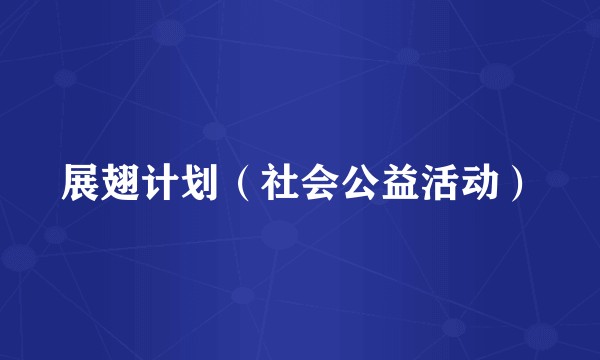 展翅计划（社会公益活动）