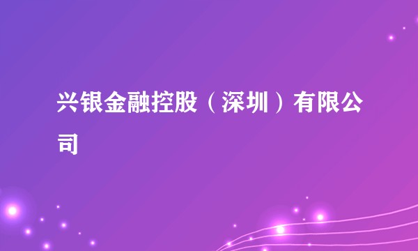 兴银金融控股（深圳）有限公司