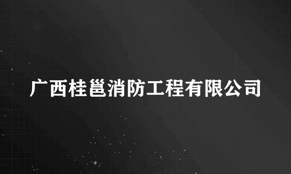 广西桂邕消防工程有限公司