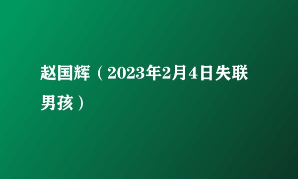 赵国辉(2023年2月4日失联男孩)