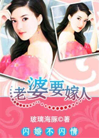 闪婚不闪情:老婆要嫁人