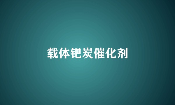 载体钯炭催化剂