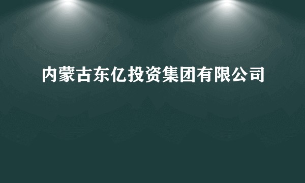 内蒙古东亿投资集团有限公司